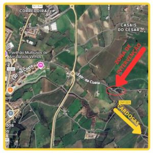 Condicionamento de Trânsito - CM1223  (MAPA)