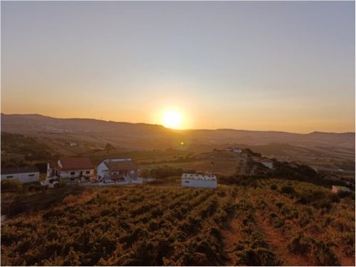 Miradouro de Cardosas